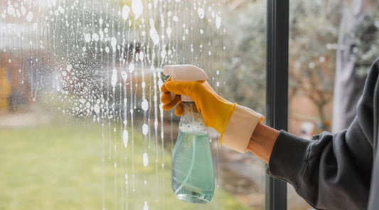 Wiping Out Dust The Role of Window Cleaning Robots in Home Hygiene - Robowindow